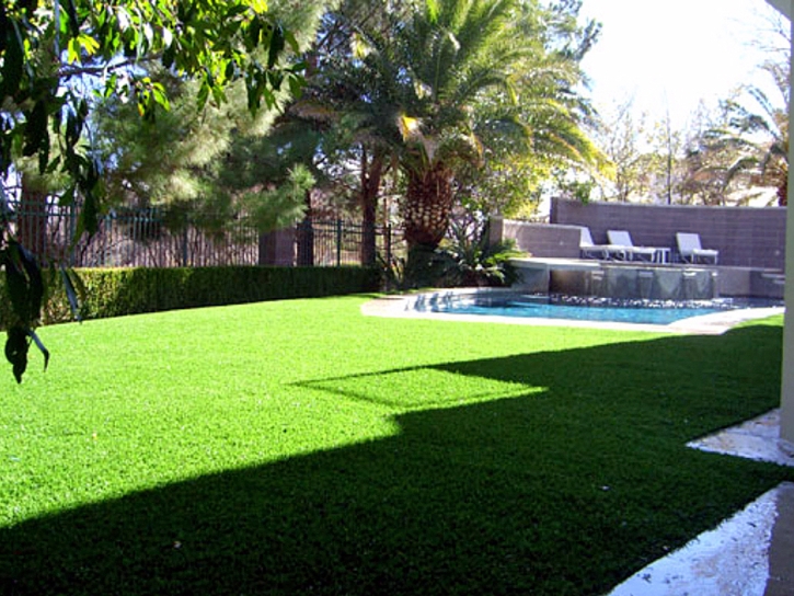 Plastic Grass Livingston, California Roof Top, Pool Designs