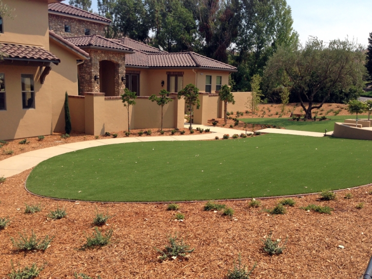 Plastic Grass Planada, California Design Ideas, Small Front Yard Landscaping