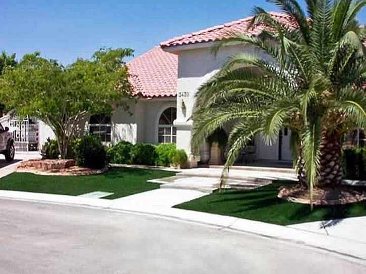 Plastic Grass Tuttle, California Landscape Photos, Front Yard Landscaping