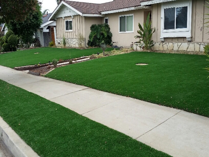 Plastic Grass Tuttle, California Lawn And Landscape, Front Yard Ideas