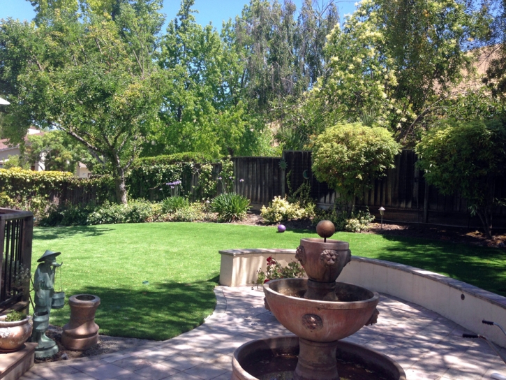 Synthetic Grass Atwater, California Design Ideas, Backyard Makeover