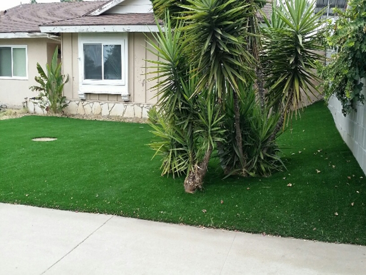 Synthetic Grass Ballico, California Gardeners, Small Front Yard Landscaping