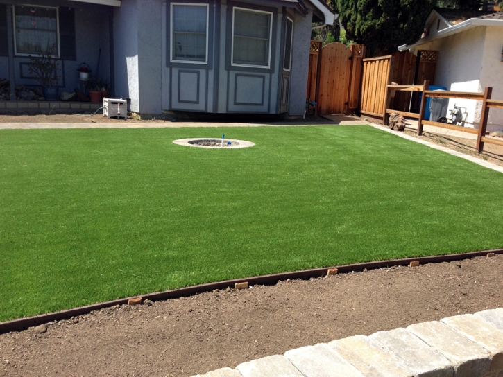 Synthetic Grass Ballico, California Lawn And Garden, Landscaping Ideas For Front Yard