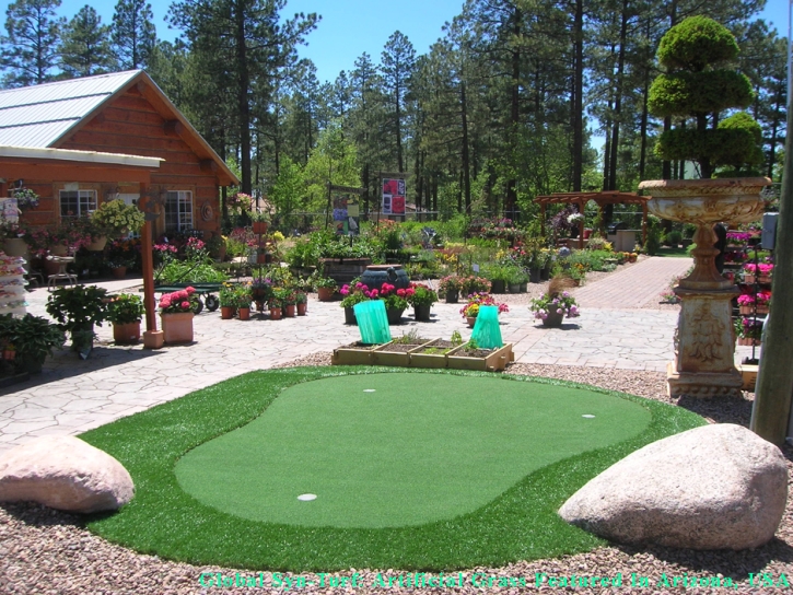 Synthetic Grass Bear Creek, California Artificial Putting Greens, Beautiful Backyards