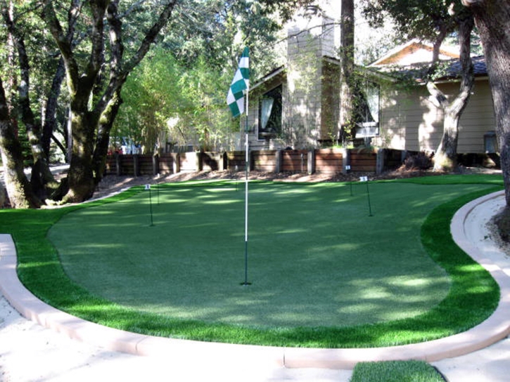 Synthetic Grass Bear Creek, California City Landscape, Backyards