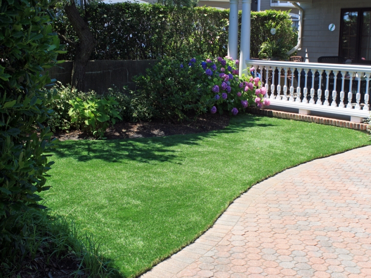 Synthetic Grass Cost Delhi, California Home And Garden, Front Yard Landscaping