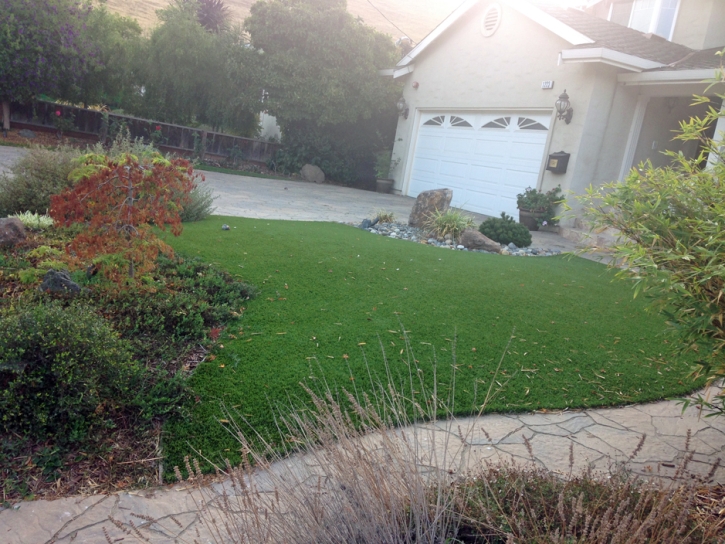 Synthetic Grass Cost Delhi, California Lawns, Front Yard Design