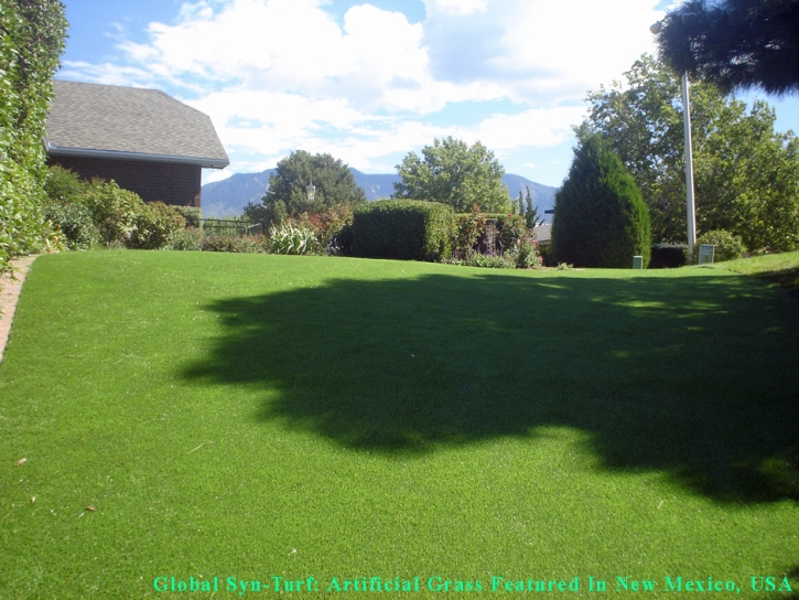 Synthetic Grass Cost El Nido, California Cat Grass, Backyard Makeover