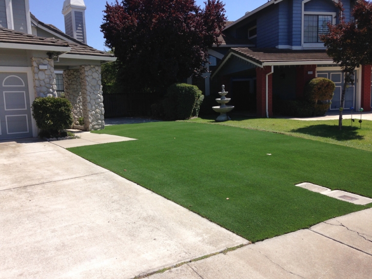 Synthetic Grass Cost Gustine, California Gardeners, Landscaping Ideas For Front Yard