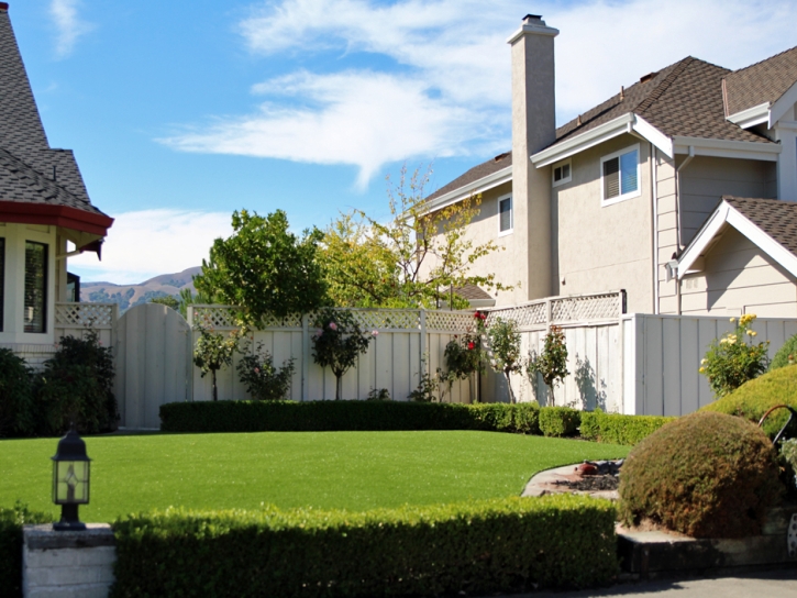 Synthetic Grass Cost Snelling, California Home And Garden, Front Yard Landscaping