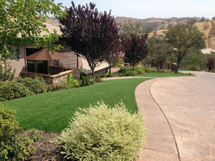 Synthetic Grass Cost Stevinson, California Landscape Ideas, Front Yard Ideas