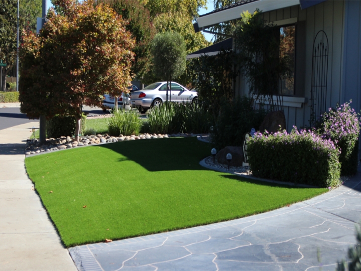 Synthetic Grass Cost Stevinson, California Landscaping Business, Front Yard Ideas