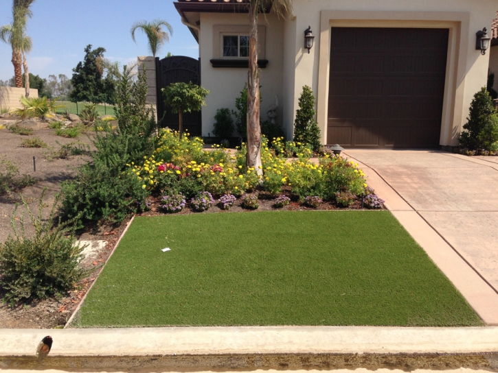 Synthetic Grass Cost Winton, California Roof Top, Front Yard Ideas