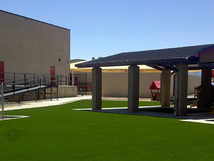 Synthetic Grass Cressey, California Landscaping Business, Commercial Landscape