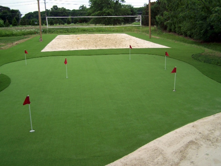 Synthetic Grass Dos Palos Y, California Backyard Sports, Backyard Landscaping Ideas