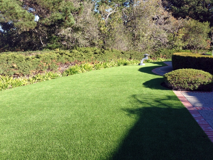 Synthetic Grass El Nido, California Landscape Ideas, Landscaping Ideas For Front Yard