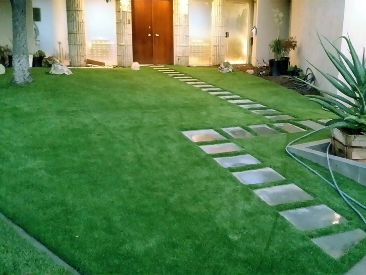 Synthetic Grass El Nido, California Lawn And Garden, Small Front Yard Landscaping