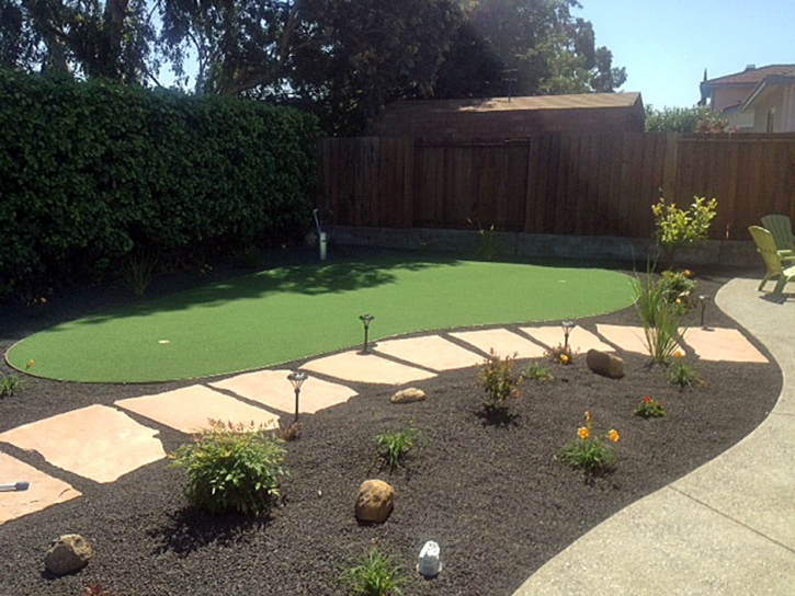 Synthetic Grass El Nido, California Landscaping, Backyard Garden Ideas