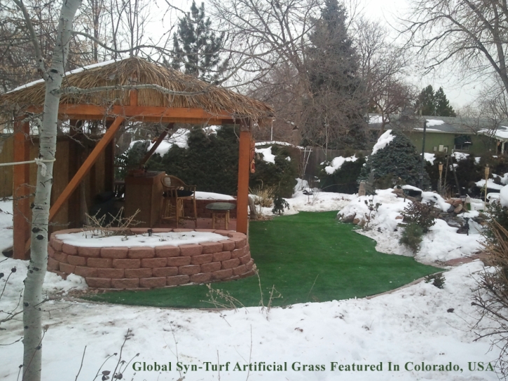 Synthetic Grass Gustine, California Design Ideas, Cold Weather