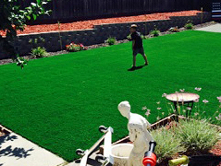 Synthetic Grass Gustine, California Landscaping, Backyards