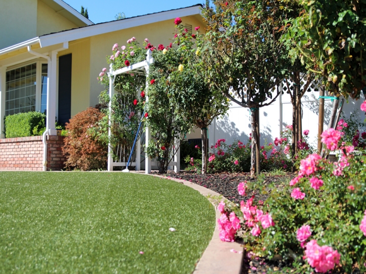 Synthetic Grass Hilmar-Irwin, California Landscape Photos, Front Yard Design