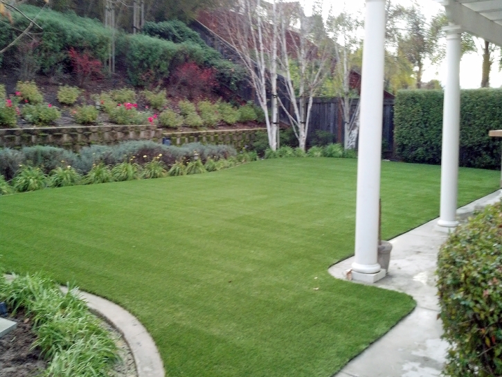 Synthetic Grass Le Grand, California Design Ideas, Backyard Landscaping