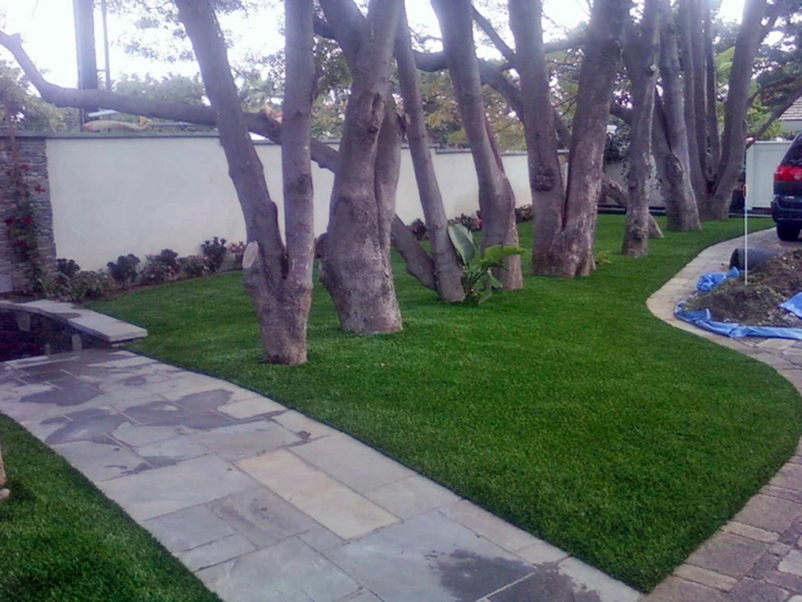 Synthetic Grass Livingston, California Landscape Photos, Front Yard Landscape Ideas