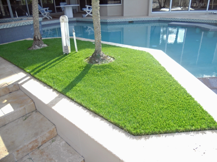 Synthetic Grass Livingston, California Landscaping, Backyard Ideas