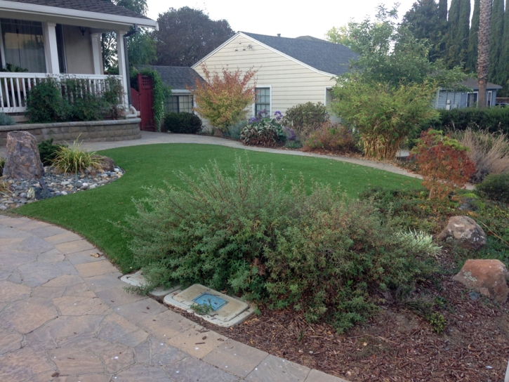 Synthetic Grass Snelling, California Lawn And Garden, Front Yard