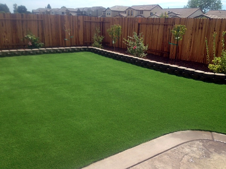 Synthetic Grass Volta, California Gardeners, Backyard Landscaping