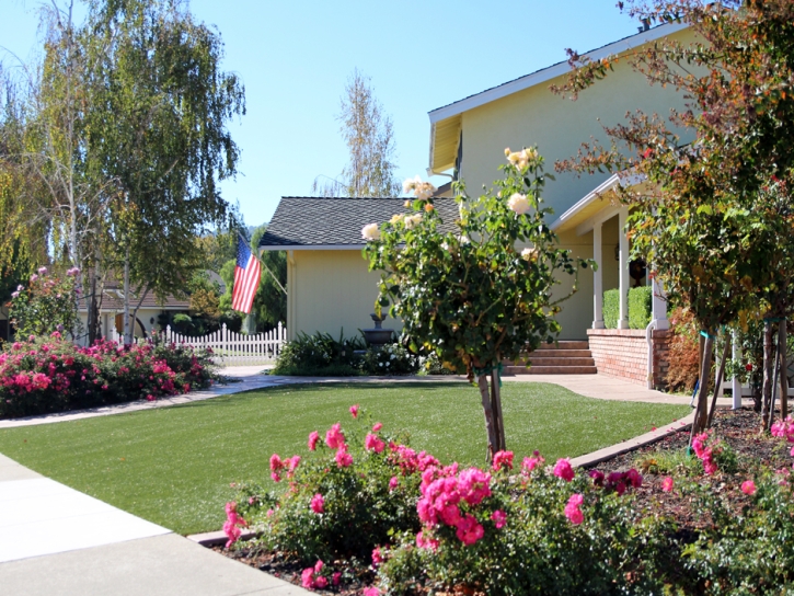 Synthetic Lawn Ballico, California Rooftop, Front Yard Landscaping