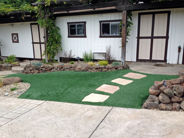 Synthetic Lawn Cressey, California Lawn And Garden, Front Yard Landscaping