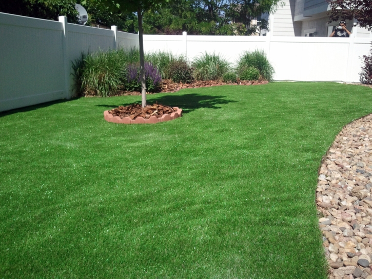 Synthetic Lawn Dos Palos, California Lawn And Landscape, Backyard