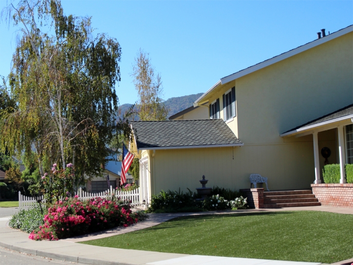 Synthetic Lawn Dos Palos Y, California Roof Top, Front Yard Landscape Ideas