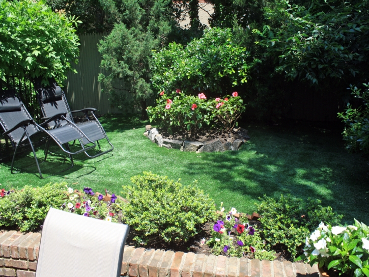 Synthetic Lawn Hilmar-Irwin, California Design Ideas, Backyards