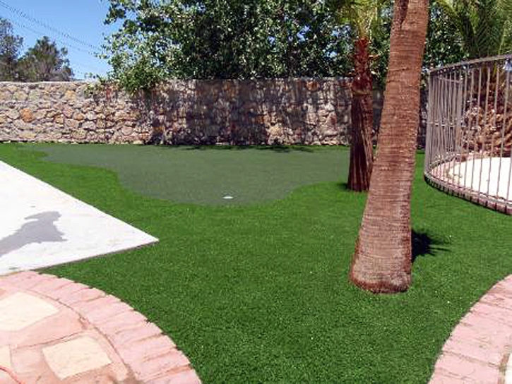 Synthetic Lawn Merced, California Garden Ideas, Beautiful Backyards