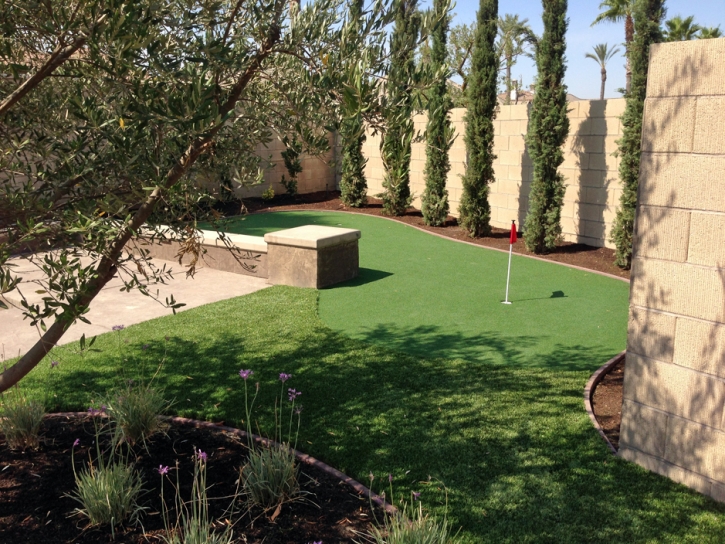 Synthetic Lawn Merced, California Golf Green, Small Backyard Ideas