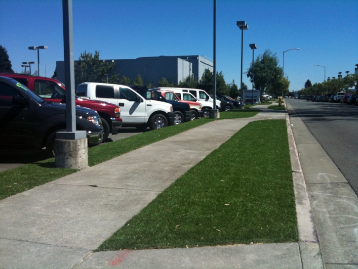 Synthetic Lawn Merced, California Lawn And Garden, Commercial Landscape