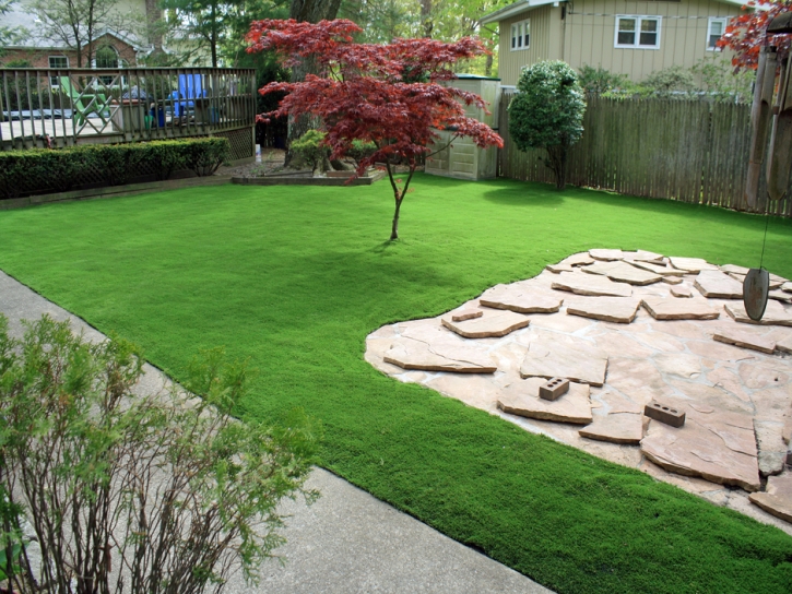 Synthetic Lawn South Dos Palos, California Landscape Ideas, Backyard Ideas