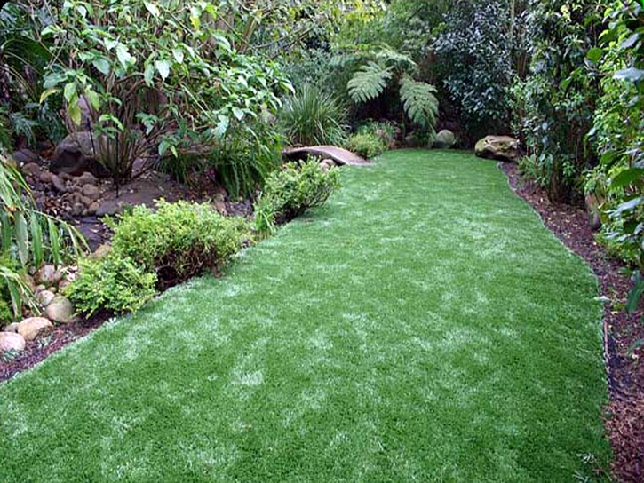 Synthetic Lawn Tuttle, California Design Ideas, Backyard Landscaping