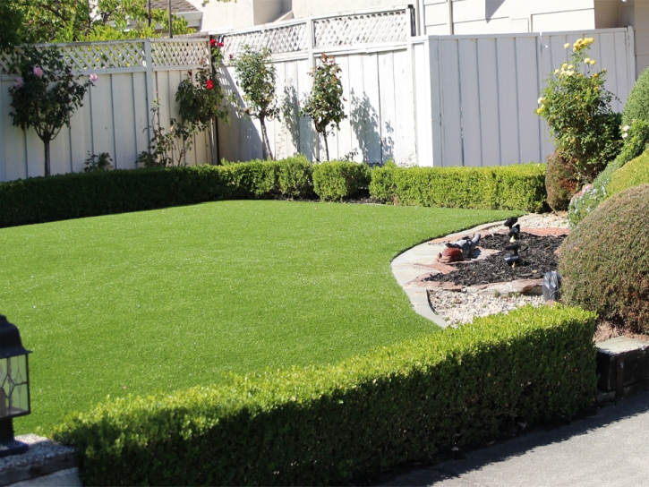 Synthetic Lawn Tuttle, California Landscaping Business, Backyard Design