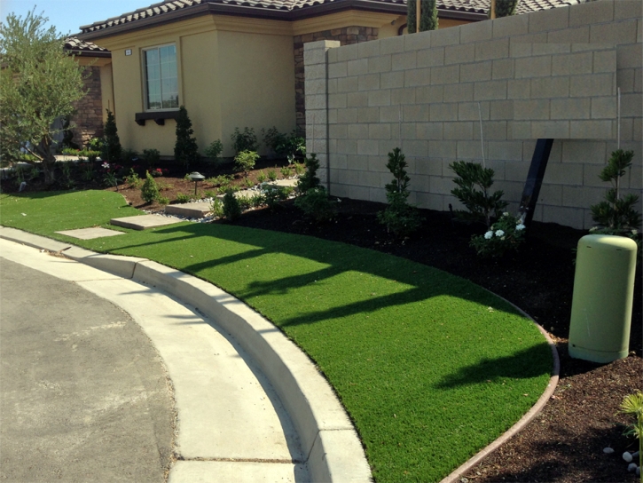 Synthetic Lawn Winton, California Lawn And Landscape, Front Yard Landscaping Ideas