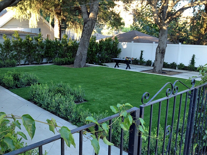 Synthetic Turf Ballico, California Landscape Photos, Landscaping Ideas For Front Yard