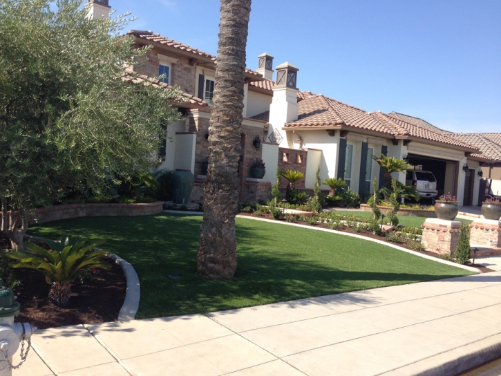 Synthetic Turf Delhi, California Roof Top, Front Yard