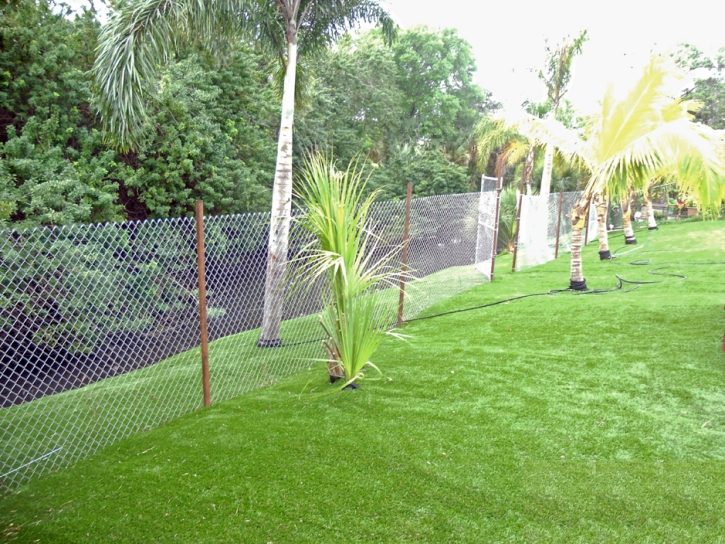 Synthetic Turf Gustine, California Roof Top, Backyard Ideas