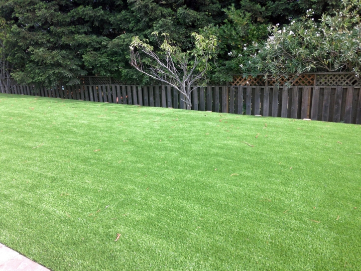 Synthetic Turf Le Grand, California Lawns, Backyard Landscaping Ideas