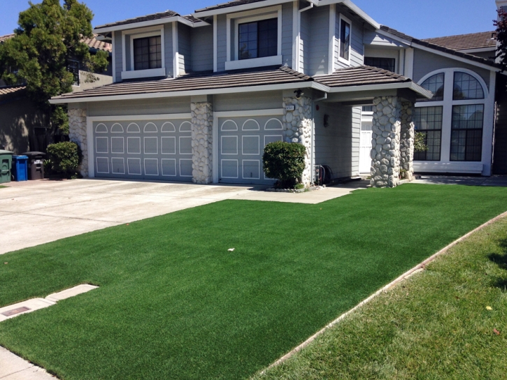 Synthetic Turf Livingston, California Landscape Photos, Front Yard Ideas