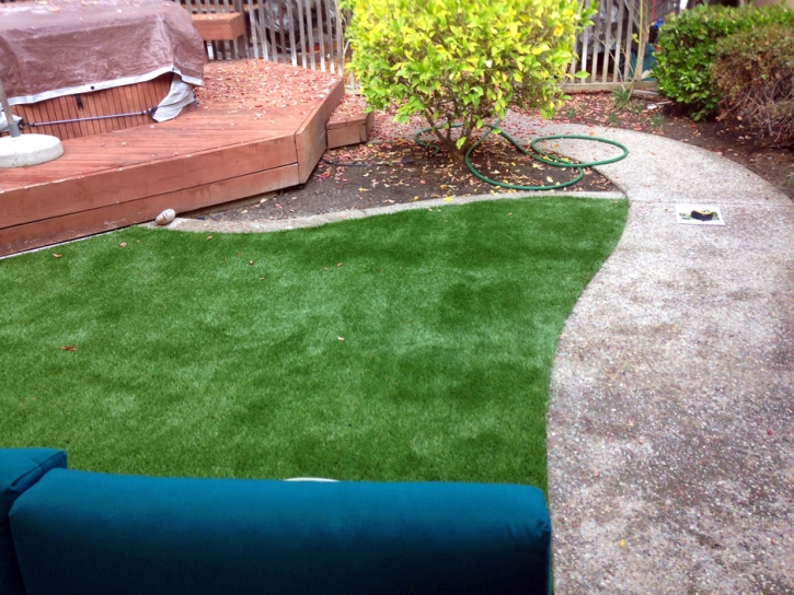 Synthetic Turf Merced, California Backyard Playground, Backyard Landscape Ideas