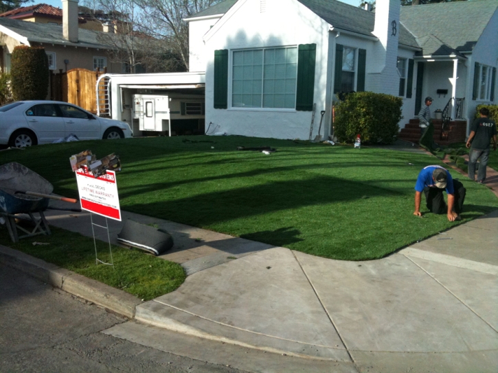 Synthetic Turf Merced, California Garden Ideas, Front Yard Design