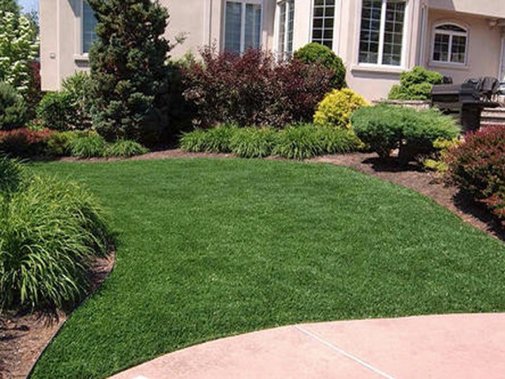 Synthetic Turf Stevinson, California Landscape Rock, Front Yard Design